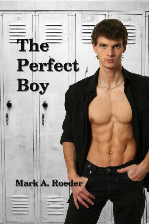 Cover of the book The Perfect Boy by Mark A. Roeder, Mark A. Roeder