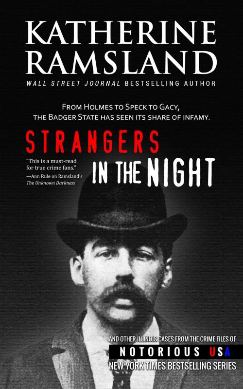 Cover of the book Strangers in the Night by Gregg Olsen, Katherine Ramsland, Notorious USA