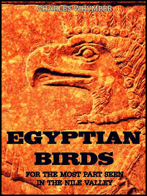 Cover of the book Egyptian Birds by Charles Whymper, LONDON ADAM AND CHARLES BLACK