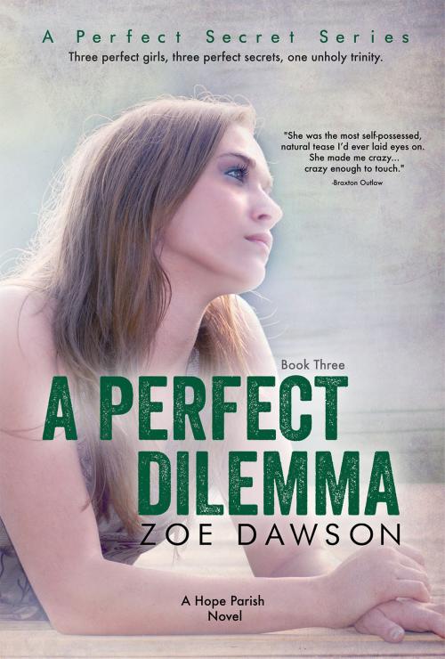 Cover of the book A Perfect Dilemma by Zoe Dawson, Blue Moon Creative, LLC