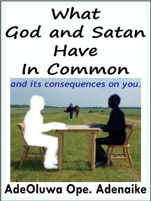 Cover of the book What God And Satan Have in Common by AdeOluwa Ope. Adenaike, AdeOluwa Ope. Adenaike