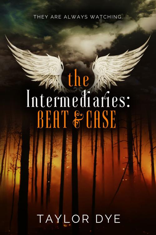 Cover of the book The Intermediaries: Beat & Case by Taylor Dye, Samanedna Publishers