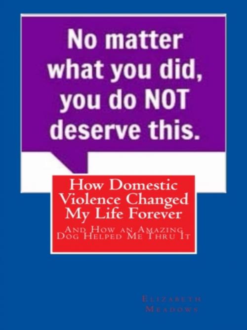 Cover of the book How Domestic Violence Changed My Life Forever by Elizabeth Meadows, Vince Stead