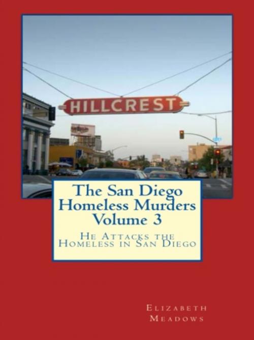 Cover of the book The San Diego Homeless Murders Volume 3 by Elizabeth Meadows, Vince Stead