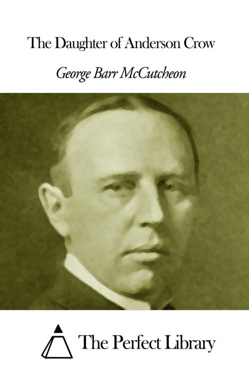 Cover of the book The Daughter of Anderson Crow by George Barr McCutcheon, The Perfect Library