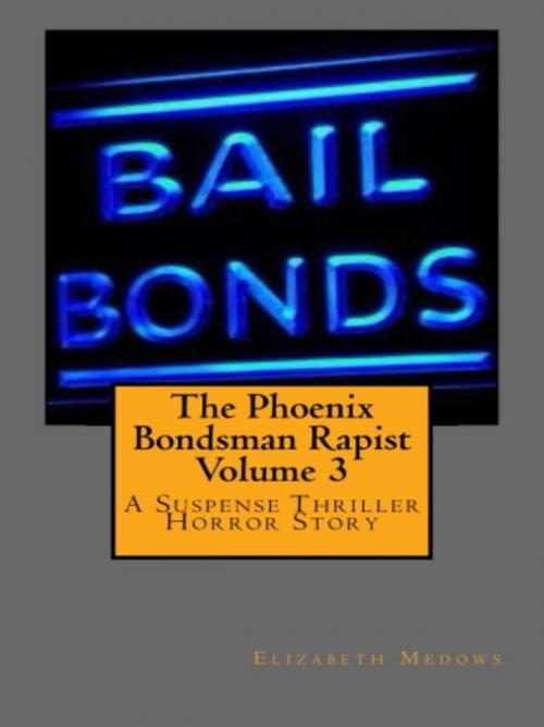 Cover of the book The Phoenix Bondsman Rapist Volume 3 by Elizabeth Meadows, Vince Stead