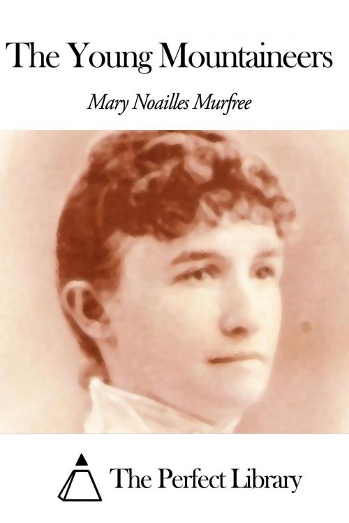 Cover of the book The Young Mountaineers by Mary Noailles Murfree, The Perfect Library