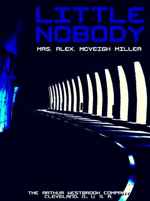 Cover of the book Little Nobody by Mrs. Alex. McVeigh Miller, THE ARTHUR WESTBROOK COMPANY