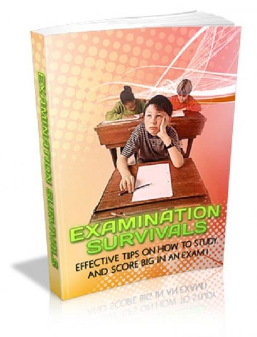 Cover of the book Examination Survivals by Anonymous, Consumer Oriented Ebooks Publisher