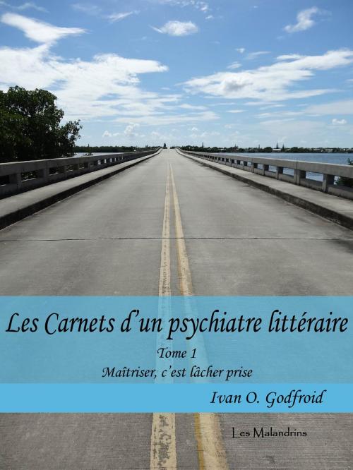 Cover of the book Maîtriser, c'est lâcher prise by Ivan O. Godfroid, Les Malandrins