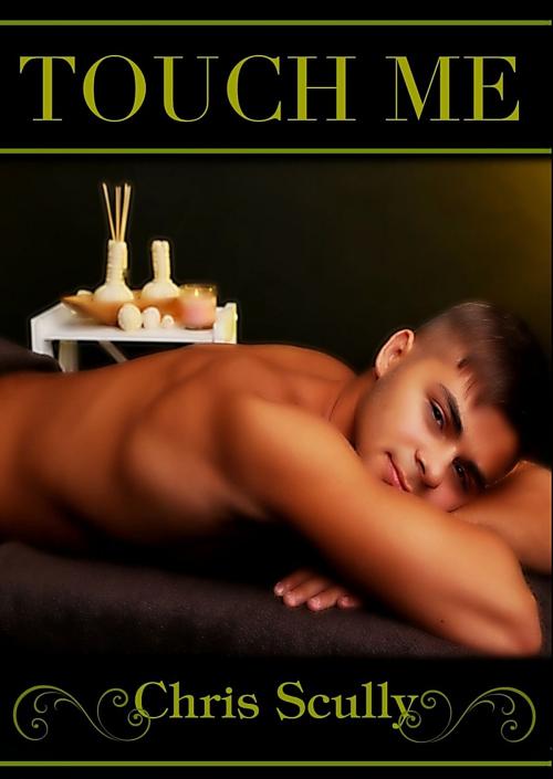 Cover of the book Touch Me by Chris Scully, Chris Scully