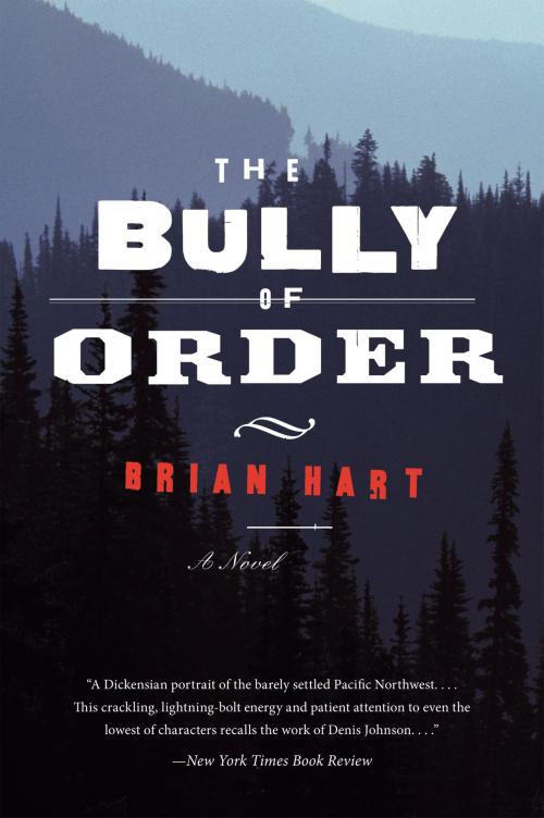 Cover of the book The Bully of Order by Brian Hart, Harper