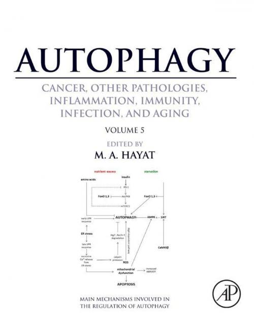 Cover of the book Autophagy: Cancer, Other Pathologies, Inflammation, Immunity, Infection, and Aging by , Elsevier Science