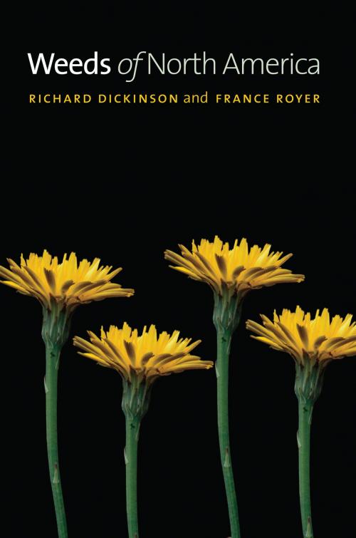 Cover of the book Weeds of North America by Richard Dickinson, France Royer, University of Chicago Press