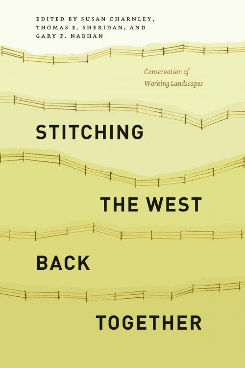 Cover of the book Stitching the West Back Together by , University of Chicago Press
