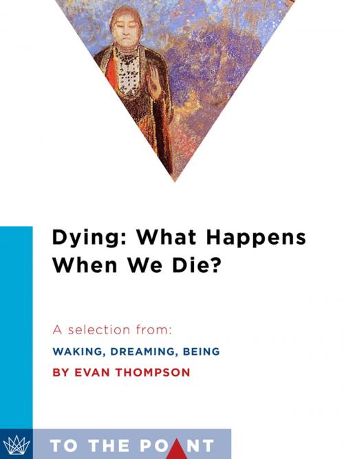 Cover of the book Dying: What Happens When We Die? by Evan Thompson, Columbia University Press