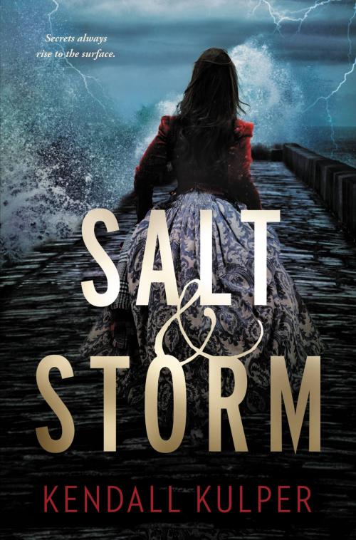 Cover of the book Salt & Storm by Kendall Kulper, Little, Brown Books for Young Readers