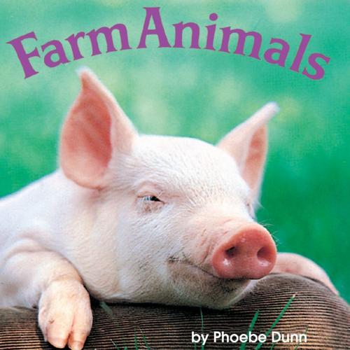Cover of the book Farm Animals by Phoebe Dunn, Random House Children's Books