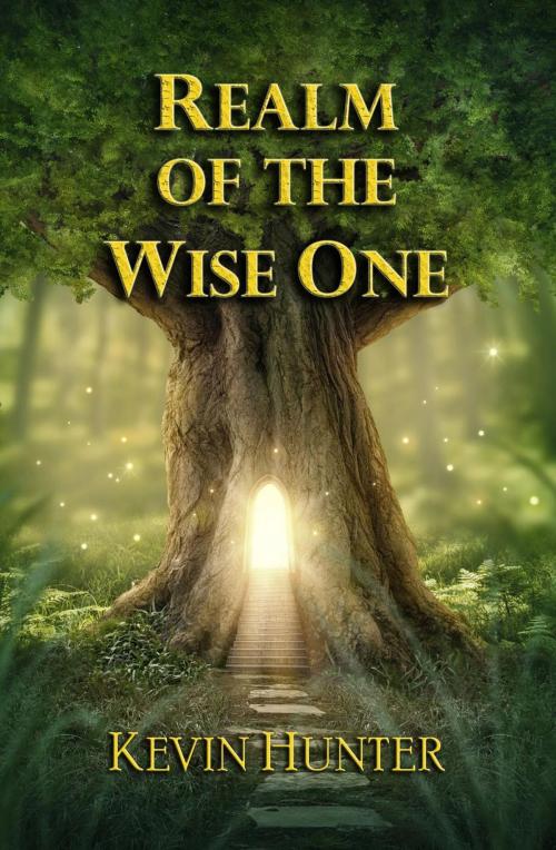 Cover of the book Realm of the Wise One by Kevin Hunter, Warrior of Light Press