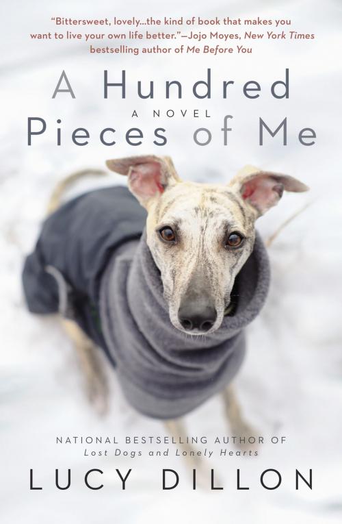 Cover of the book A Hundred Pieces of Me by Lucy Dillon, Penguin Publishing Group