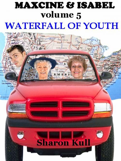 Cover of the book Waterfall of Youth by Sharon Kull, SynergEbooks