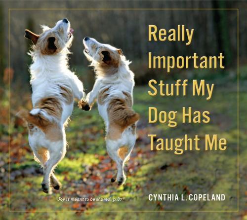 Cover of the book Really Important Stuff My Dog Has Taught Me by Cynthia L. Copeland, Workman Publishing Company