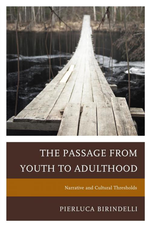 Cover of the book The Passage from Youth to Adulthood by Pierluca Birindelli, UPA
