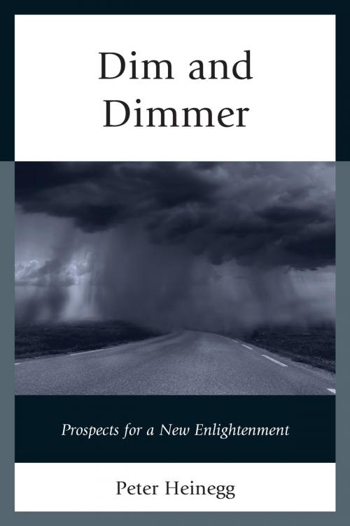 Cover of the book Dim and Dimmer by Peter Heinegg, Hamilton Books