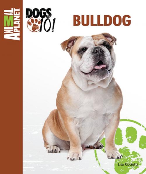 Cover of the book Bulldog by Lisa Ricciotti, TFH Publications, Inc.