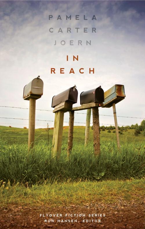 Cover of the book In Reach by Pamela Carter Joern, UNP - Bison Books