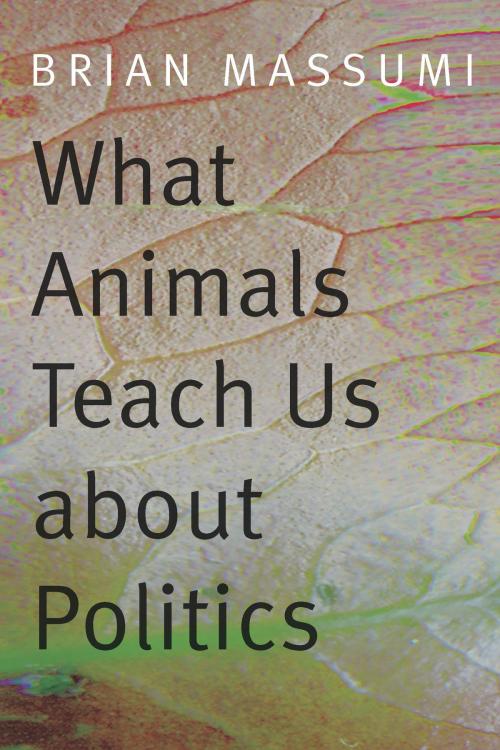 Cover of the book What Animals Teach Us about Politics by Brian Massumi, Duke University Press