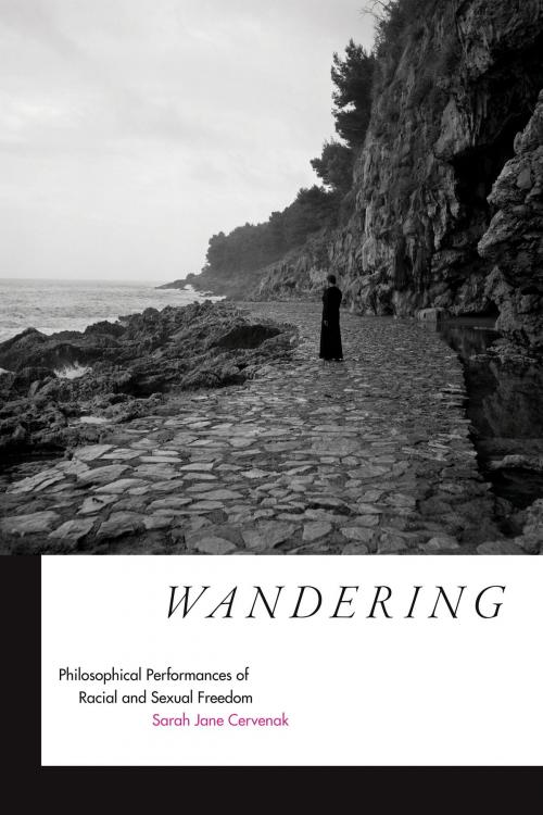 Cover of the book Wandering by Sarah Jane Cervenak, Duke University Press