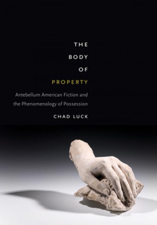 Cover of the book The Body of Property by Chad Luck, Fordham University Press