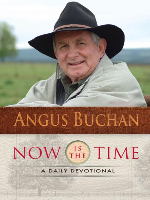 Cover of the book Now Is The Time by Angus Buchan, Lion Hudson