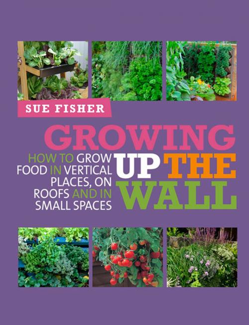 Cover of the book Growing Up the Wall by Sue Fisher, UIT Cambridge Ltd.