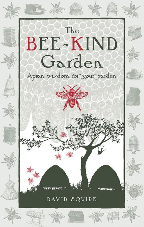 Cover of the book Bee-Kind Garden by David Squire, UIT Cambridge Ltd.