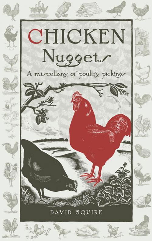 Cover of the book Chicken Nuggets by David Squire, UIT Cambridge Ltd.