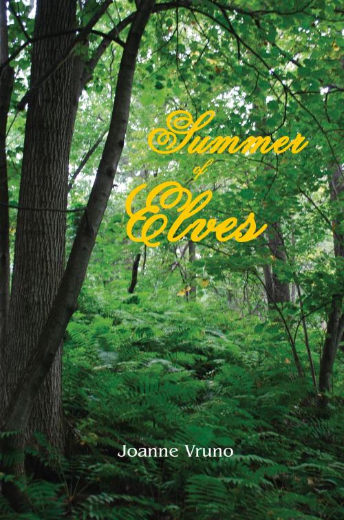 Cover of the book Summer of Elves by Joanne Vruno, North Star Press of St. Cloud