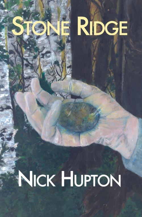 Cover of the book Stone Ridge by Nick Hupton, North Star Press of St. Cloud