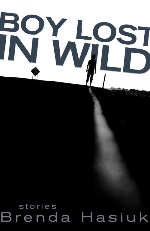 Cover of the book Boy Lost in Wild by Brenda Hasiuk, Turnstone Press