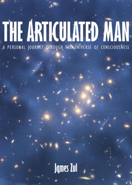 Cover of the book The Articulated Man: A Personal Journey Through the Universe of Consciousness by James Zul, James Zul