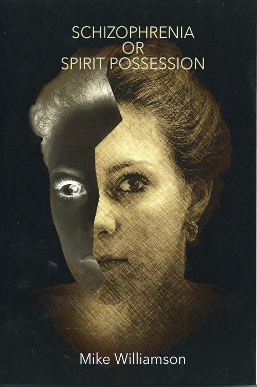 Cover of the book Schizophrenia or Spirit Possession by Mike Williamson, Mike Williamson