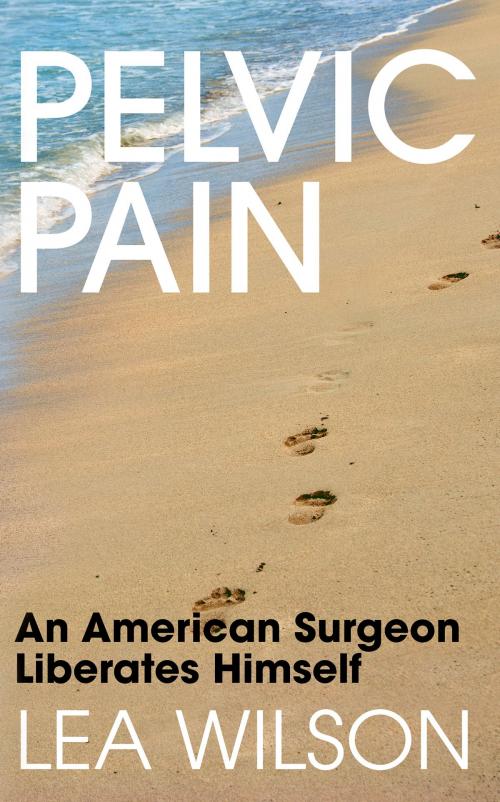 Cover of the book Pelvic Pain: An American Surgeon Liberates Himself by Lea Wilson, Lea Wilson