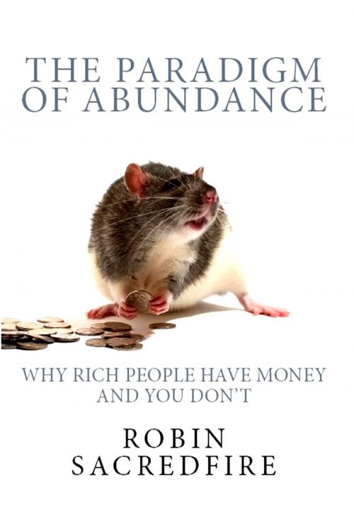 Cover of the book The Paradigm of Abundance: Why Rich People Have Money and You Don't by Robin Sacredfire, 22 Lions Bookstore