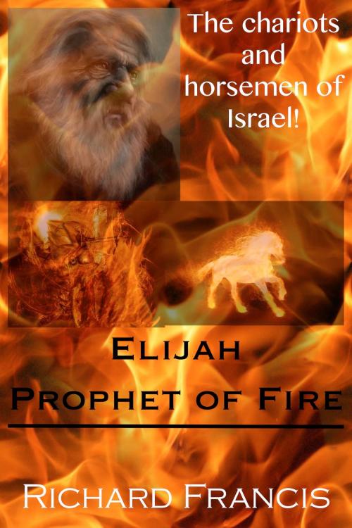 Cover of the book Elijah Prophet of Fire by Richard Francis, Richard Francis