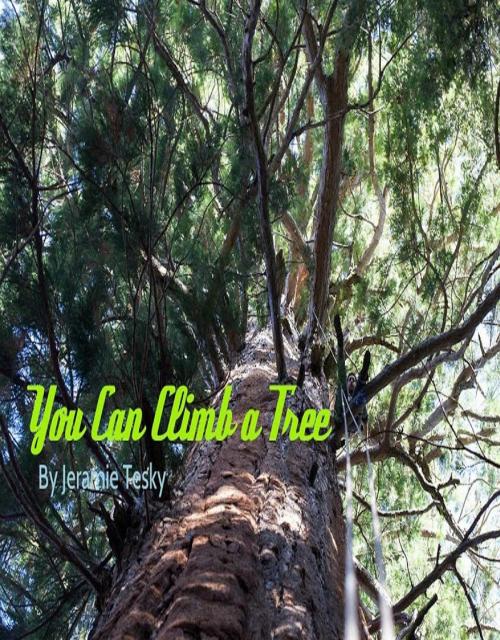 Cover of the book You Can Climb a Tree by Jeramie Tesky, Jeramie Tesky