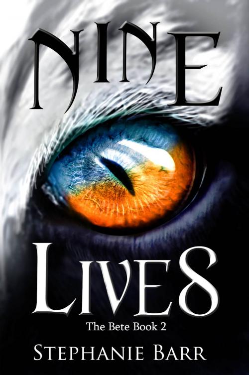 Cover of the book Nine Lives by Stephanie Barr, Stephanie Barr