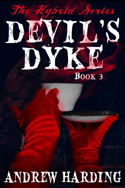 Cover of the book The Hybrid Series: Devil's Dyke Book 3 by Andrew Harding, Andrew Harding