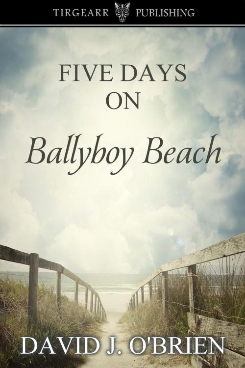 Cover of the book Five Days on Ballyboy Beach by David J. O'Brien, Tirgearr Publishing