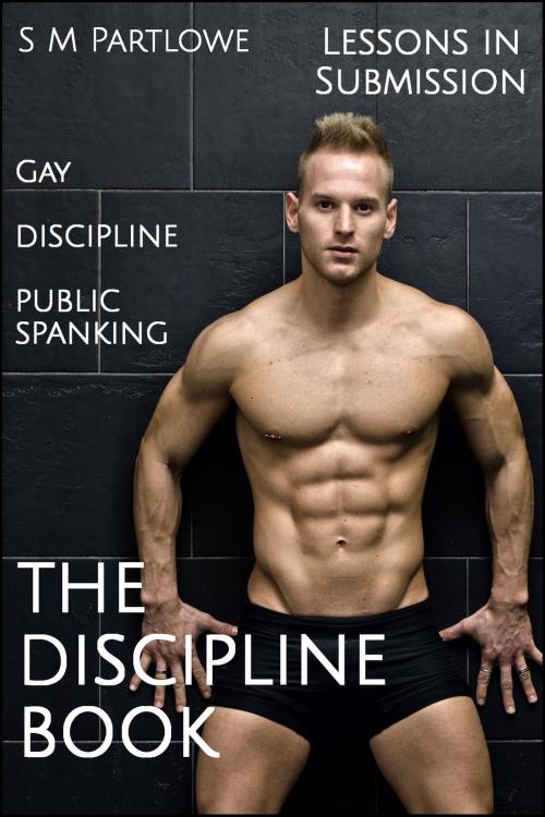 Cover of the book Lessons in Submission: The Discipline Book (Gay, Discipline, Public Spanking) by S M Partlowe, S M Partlowe